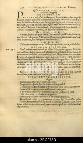 Herbarivm OTH. Brvnfelsii ... exacto tandem studio, opéra et ingéniio, candidatures medicinae simplicis absolutum (Page 123) Banque D'Images