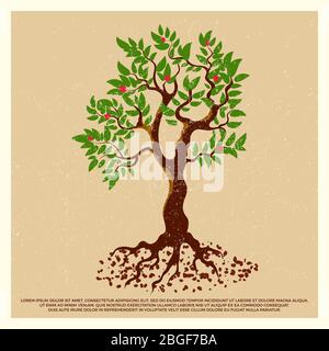 Affiche de grunge vintage avec arbre de fruits à fleurs isolé sur fond. Illustration vectorielle Illustration de Vecteur