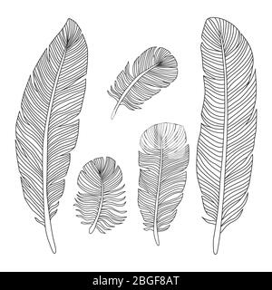 Les plumes dessinées à la main présentent des silhouettes isolées sur fond blanc. Illustration vectorielle Illustration de Vecteur