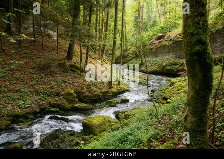 Die Karstquelle des Dou im Berner Jura, Schweiz Banque D'Images