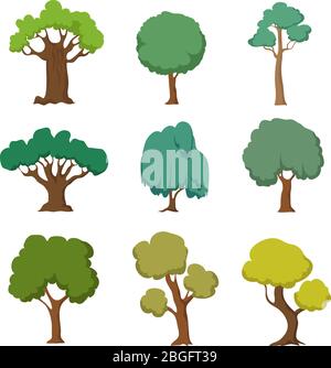 Arbres verts de dessin animé. Joli ensemble de plantes et de buissons de forêt naturelle isolé sur fond blanc. Arbre forestier et buisson vert, illustration de la plante de dessin animé Illustration de Vecteur