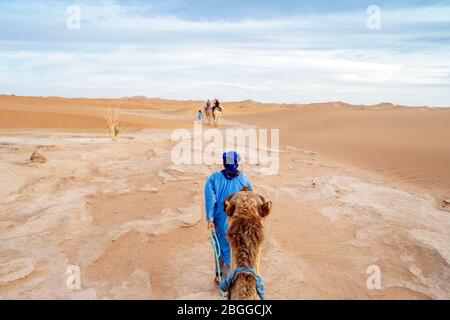 Bedouins marchant avec des chameaux à travers des sables jaunes du Sahara dessert, Maroc, Afrique Banque D'Images