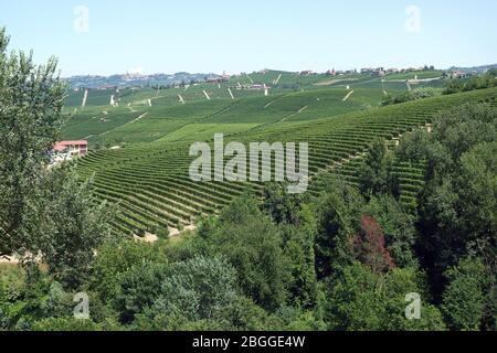 Barolo, Piémont/Italie-vue sur les vignes des Langhe depuis le château de Barolo. Banque D'Images