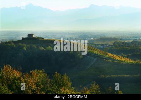 Vue sur les vignobles des Langhe Monferrato Roero, UNESCO World Heritage en Piémont, Italie. Banque D'Images