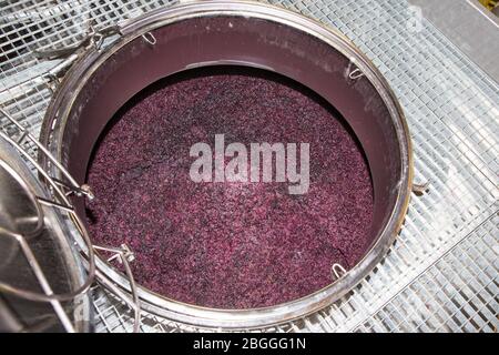 cuves de vinification pour la fermentation de raisins et la production de vin dans le domaine viticole Banque D'Images