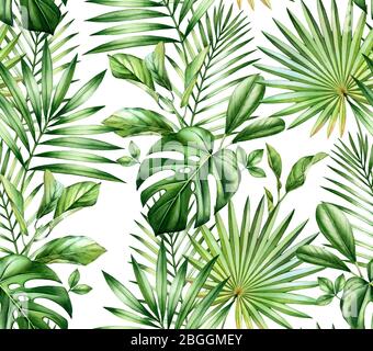 Motif tropical sans coutures en aquarelle. Feuilles de palmier exotiques, monstera, noix de coco isolées sur blanc. Illustration dessinée à la main pour mariage, surface Banque D'Images