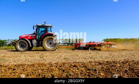 Disque de tracteur Massey Ferguson 7480 cultivant les bandes de couverture de jeu d'oiseaux sauvages pour préparer le lit de semences en conditions sèches Quivogne Banque D'Images