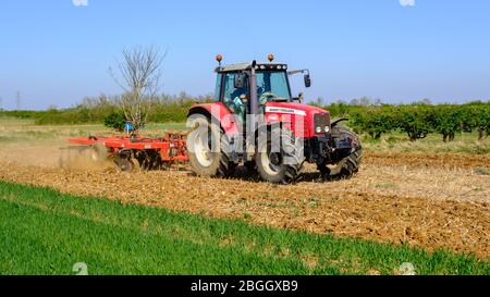 Disque de tracteur Massey Ferguson 7480 cultivant les bandes de couverture de jeu d'oiseaux sauvages pour préparer le lit de semences en conditions sèches Quivogne Banque D'Images