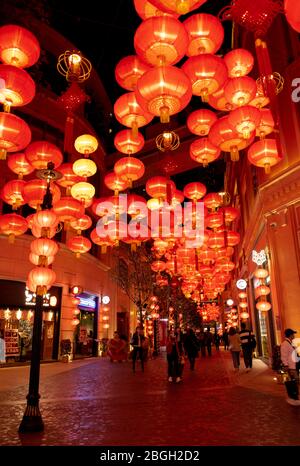 Hong Kong, Chine : 21 février 2020. Lanternes pour le nouvel an chinois décorent Lee Tung Avenue dans WAN Chai Jayne Russell/Alay stock image Banque D'Images