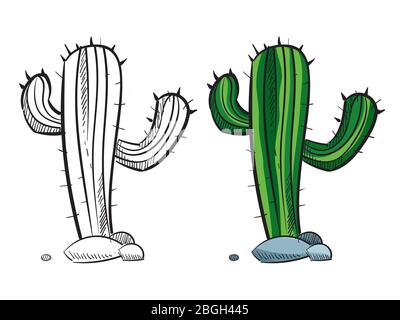 Silhouette de cactus dessinée à la main - page de coloriage de fleur de dessert avec échantillon. Illustration vectorielle Illustration de Vecteur