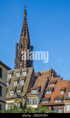 La flèche de la cathédrale de Strasbourg domine le centre historique de la ville, Strasbourg, Alsace, France Banque D'Images