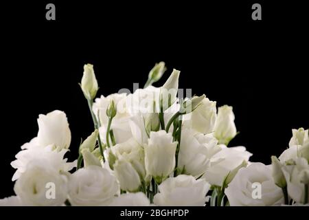 Bouquet d'eustomes blancs sur fond noir, gros plan, découpe. Banque D'Images