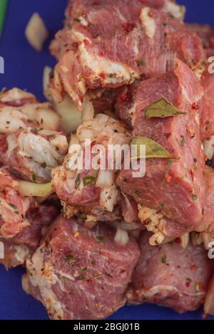 Kebab - morceaux de porc et d'oignon haché, photographiés de près. Porc haché en morceaux sur un barbecue avec oignons. Porc cru dans les épices, viande marinée. Banque D'Images