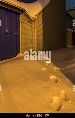 Allée du centre-ville pendant une nuit d'hiver à Sault Ste. Marie dans la péninsule supérieure du Michigan, États-Unis [pas de mainlevée de propriété; disponible pour licence éditoriale o Banque D'Images