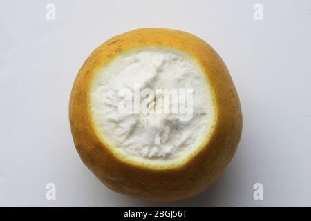 Pomelo ou connu sous le nom de Citrus maxima ou Citrus grandis isolé sur fond blanc Banque D'Images