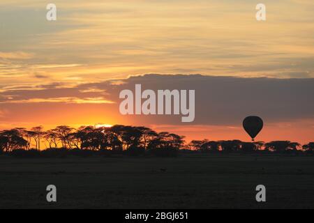 Busanga Plains est une destination de safari exclusive dans le parc national de Kafue, province du Nord-Ouest, Zambie, où le montgolfières est populaire Banque D'Images