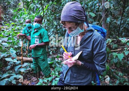 Gardes dédiés à la protection et à la surveillance des gorilles de Dzanga Sangha. République centrafricaine. WWF Banque D'Images