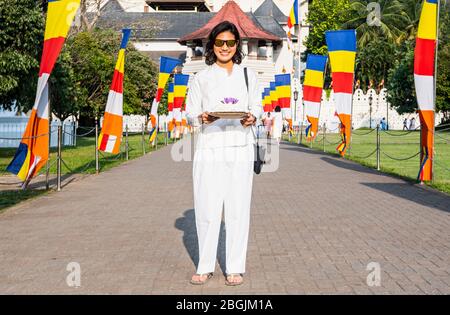 Femme en pèlerinage bouddhiste à Kandy / Sri Lanka Banque D'Images