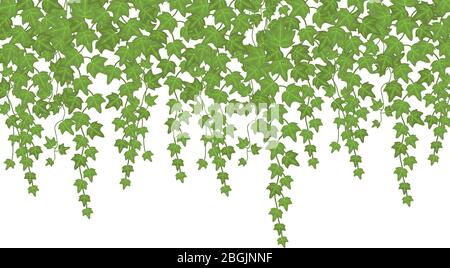 Plante verte d'escalade murale suspendue par dessus. Décor de jardin fond vectoriel. Illustration feuille verte de plante, végétation de feuillage Illustration de Vecteur