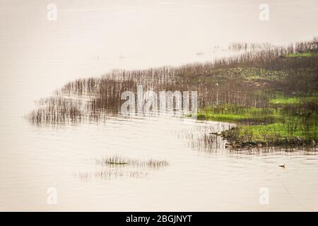 Fengdu, Chine - 8 mai 2010: La nature a tourné sur la rivière Yangtze plate argentée avec des pousses brunes et quelques herbes vertes qui s'écouleront au-dessus de l'eau. Banque D'Images