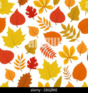 Forêt dorée automne feuilles sans couture vecteur modèle automnal. Contexte feuillage doré naturel, illustration de feuilles naturelles Illustration de Vecteur