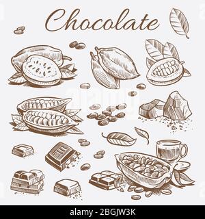 Collection d'éléments de chocolat. Dessin à la main de fèves de cacao de jeu et de barres et de feuilles de chocolat. Illustration vectorielle Illustration de Vecteur