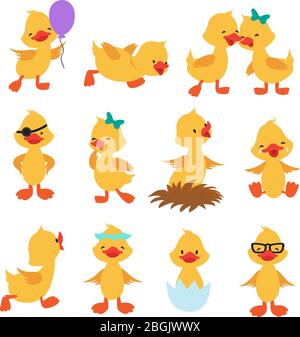 Dessin animé de canards mignons. Petits caractères isolés de petits poussins jaunes. Cantling d'oiseau, drôle et heureux personnage de poussin, illustration ducky d'animal nouveau-né Illustration de Vecteur