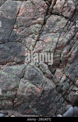 La baie de St Columba sur Iona, en Écosse, possède une géologie étonnante, comme cette formation de granit vert et rose pastel avec des fissures diagonales. Contre-arête. Banque D'Images