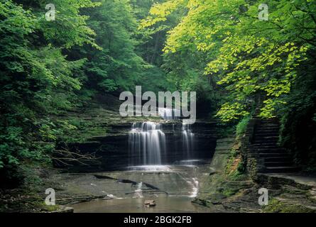 Tombe sur Buttermilk Creek, Buttermilk Falls State Park, New York Banque D'Images