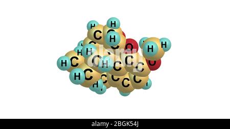 La codéine est un opiacés utilisé pour traiter la douleur, comme médicament contre la toux, et pour la diarrhée. illustration tridimensionnelle Banque D'Images