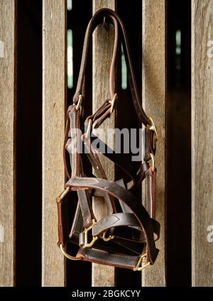 Bit et Bridgle Hang on Horse stable Wall Banque D'Images