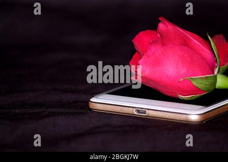 Belle proposition romantique, rose rouge mis sur le cadeau mobile de Valentin, amour fond décoratif sur noir Banque D'Images