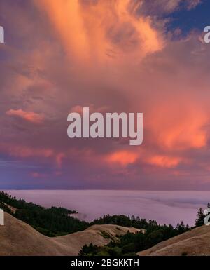 Coucher de soleil, brouillard côtier, Bolinas Ridge, le Mont Tamalpais State Park, aire de loisirs nationale du Golden Gate, le comté de Marin, en Californie Banque D'Images