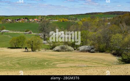 20 avril 2020, Brandebourg, Altkünkendorf: Vue sur l'uckermark Altkünkendorf près d'Angermünde. Altkünkendorf est situé à la limite du site du patrimoine mondial de l'UNESCO "Buchenwald Grumsin". Avec quatre autres forêts de hêtre allemandes en Thuringe, Mecklembourg-Poméranie occidentale et Hesse, la forêt de 70 hectares de hêtre de Grumsin fait partie du patrimoine mondial naturel. Photo : Patrick Pleul/dpa-Zentralbild/ZB Banque D'Images