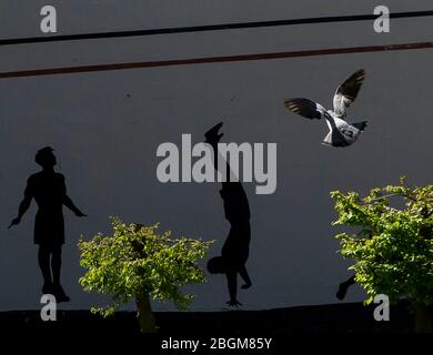 Pigeons en vol avec des exerçateurs d'art mural Banque D'Images