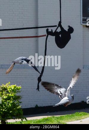 Pigeons en vol avec des exerçateurs d'art mural Banque D'Images