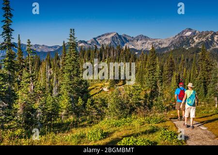 Mt Dickey, Mt St Cyr et Mt Coursier dans les montagnes de Selkirk, randonneurs, vue du point de vue de South Parapet, parc national du Mont-Revelstoke, Colombie-Britannique, Canada Banque D'Images