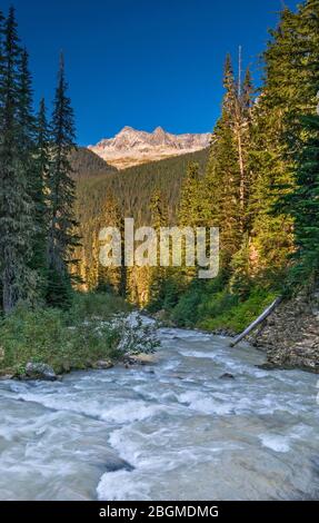 Le mont Hermit et le mont Tupper vus du ruisseau Asulkan dans la vallée Asulkan, dans les montagnes Columbia, dans le parc national des Glaciers, Colombie-Britannique, Canada Banque D'Images