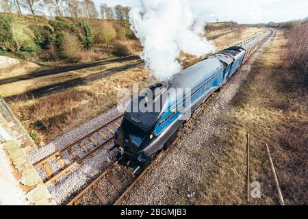 Le train à vapeur qui longe les voies ferrées dans la locomotive à vapeur britannique à vapeur intense, le Sir Nigel Gresley (CLASSE LNER A 4 Pacific 4498), Banque D'Images