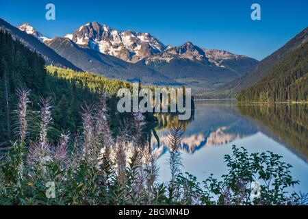 Mount Rohr au-dessus du lac Duffey, de la route Sea to Sky, des chaînes du Pacifique des montagnes côtières, à l'est de Pemberton, Colombie-Britannique, Canada Banque D'Images