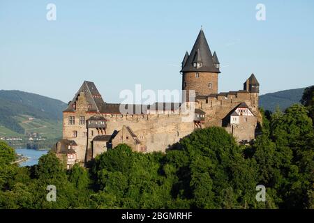 Burg Stahleck Youth Hostel au-dessus de Bacharach dans la vallée du Rhin moyen, Rhénanie-Palatinat, Allemagne Banque D'Images