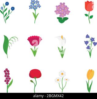 Fleurs de printemps. Des fleurs vectorielles amusantes et mignonnes Illustration de Vecteur