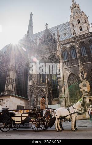 Vienne, Autriche - 23 mars 2019: coachman en calèche avec des chevaux près de la cathédrale Saint-Étienne de Vienne, attendant les touristes Autriche Banque D'Images