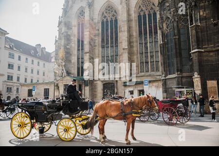 Vienne, Autriche - 23 mars 2019: coachman en calèche avec des chevaux près de la cathédrale Saint-Étienne de Vienne, attendant les touristes Autriche Banque D'Images