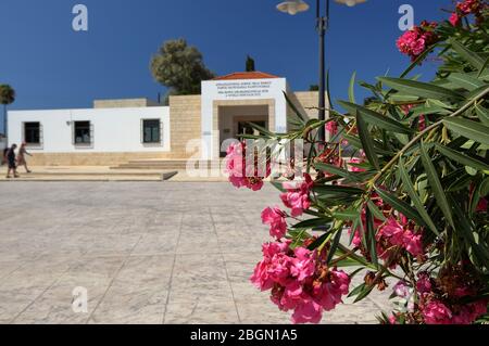 Fleurs roses magnifiquement fleuries sur le bush, place dans le fornt de l'entrée du site archéologique de paphos, deux touristes viennent, journée ensoleillée d'été Banque D'Images