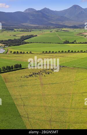 Photo aérienne de terres agricoles avec des montagnes en arrière-plan Banque D'Images