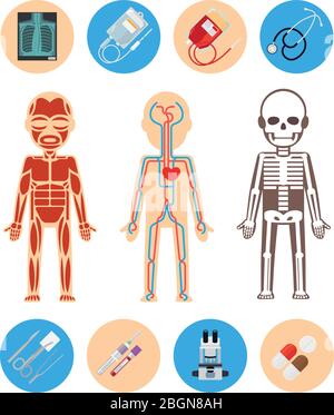 Éléments d'infographies médicales. Icônes de santé et de santé. Illustration vectorielle Illustration de Vecteur