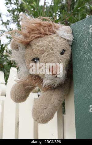 Petit jouet en lion farci attaché à la porte d'entrée pour aider les enfants à se promener dans le quartier pendant la pandémie de COVID-19 à Melbourne, Australie. Banque D'Images