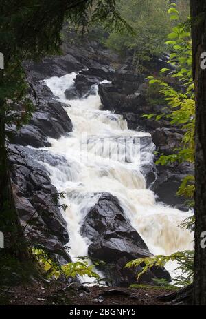 Chutes en sac un jour pluvieux d'automne dans le parc Algonquin, Canada Banque D'Images