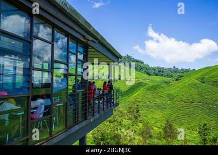 La BOH Tea Company a été fondée en 1929 et est l'une des célèbres marques de thé en Malaisie. L'un des points forts de la pittoresque région de Cameron Highlands. Banque D'Images